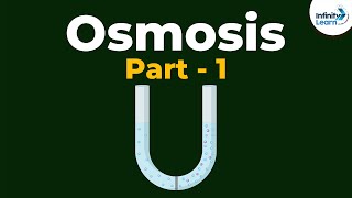 What is Osmosis  Part 1  Cell  Infinity Learn [upl. by Htieh]