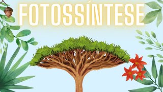 Fotossíntese A alimentação das plantas [upl. by Hazeefah]