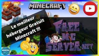 Le meilleur hébergeur gratuit Minecraft du monde  Freemcserver [upl. by Acinorej]