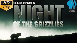 Glacier Parks Night of the Grizzlies  PBS Documentary ⁷²⁰ᵖ [upl. by Panther]