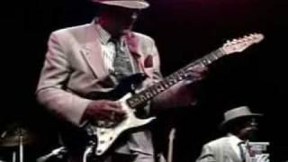 Hubert Sumlin  Come On In My House [upl. by Matthaeus]