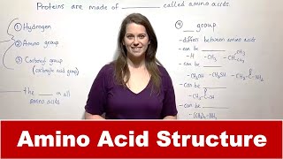 Amino Acid Structure and Bonding [upl. by Eydie]