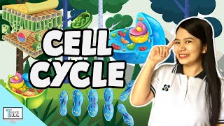 Cell Cycle  Biology [upl. by Dhiman]