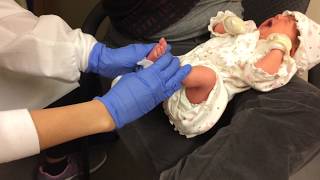 Liana  Newborn baby Taking a Heel Blood [upl. by Julianna474]