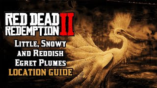 Little Snowy and Reddish Egret Plumes  Location Guide  Red Dead Redemption 2 [upl. by Shreeves]