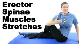 Erector Spinae Muscles Stretches  Ask Doctor Jo [upl. by Savvas]