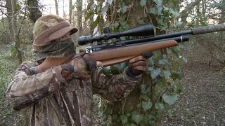 The Airgun Show – roving woodland hunt how to zero and gear from the British Shooting Show [upl. by Rockey783]