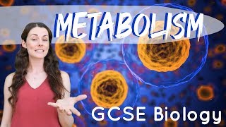 Metabolism  GCSE Biology [upl. by Kizzee672]