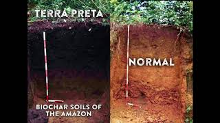 Making Terra Preta Soil [upl. by Jamnes]