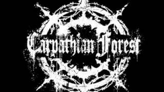 Carpathian Forest  Dead Moon New Song [upl. by Aliuqat]