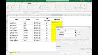 Calculating Age Groups [upl. by Dinnage]