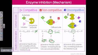 Enzyme inhibition [upl. by Hays755]