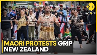 New Zealand Around 35000 Maori Protesters Gathered in Wellington  Latest English News  WION [upl. by Diandra297]