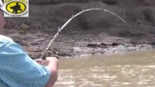 How to catch channel catfish in a muddy creek with catfish bait Team Catfish Video 1 [upl. by Laddy]