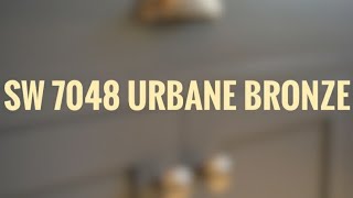 Urbane Bronze Sherwin Williams  COLOR OF THE YEAR 2021 [upl. by Ankeny]