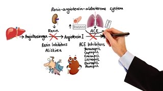 Pharmacology  HYPERTENSION amp ANTIHYPERTENSIVES MADE EASY [upl. by Nagorb]