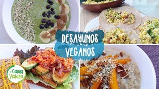 🌱 4 DESAYUNOS NUTRITIVOS Y FÁCILES  Comer Vegano [upl. by Anned]