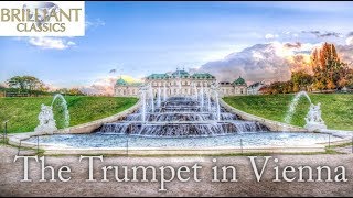 The Trumpet in Vienna [upl. by Anyahc]