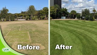 Fixing An Ugly Zoysia Lawn [upl. by Winne]