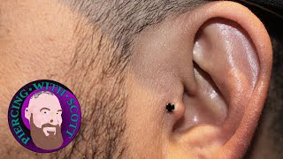 The Whole Truth  Tragus Piercing [upl. by Acinnad]