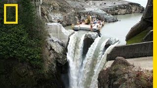 After Largest Dam Removal in US History This River Is Thriving  National Geographic [upl. by Aicak]