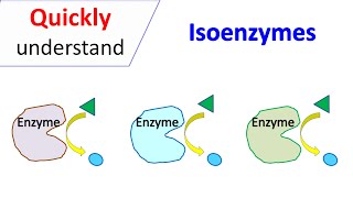 Isoenzymes [upl. by Annaeiluj]