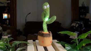 Wiggly Dancing Cactus [upl. by Guod597]