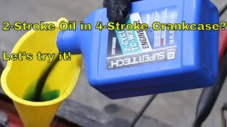 2Stroke Oil in 4Stroke Crankcase Lets try it [upl. by Rekab74]