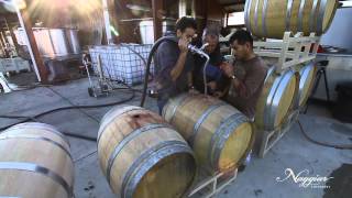 Vine to Wine Winemaking at Naggiar Vineyards [upl. by Ybbil]