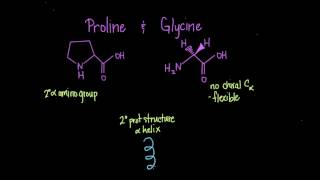 Special Cases Histidine Proline Glycine Cysteine [upl. by Dickman937]