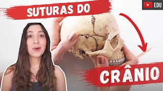 Suturas do crânio  Anatomia etc [upl. by Yendyc]