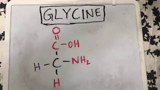 Glycine Structure  Amino Acid Basics [upl. by Bissell]