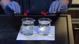 Diffusion and Osmosis  For Teachers [upl. by Clemen]