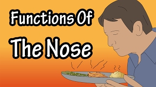 Stuffy Nose  How To Get Rid Of A Stuffy Nose Clear Blocked Nasal Congestion [upl. by Gibert48]