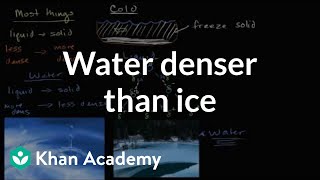 Liquid water denser than solid water ice  Biology  Khan Academy [upl. by Ranzini]