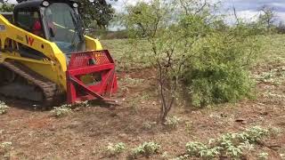 Skid Steer with GRUB N GRADE grubber attachment [upl. by Hills]