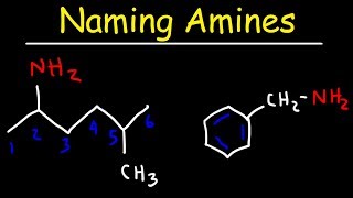 Naming Amines  IUPAC Nomenclature amp Common Names [upl. by Tatia91]