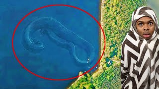 Weird Things Spotted and Caught On Google Maps [upl. by Sandstrom114]