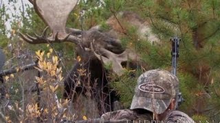 World Record Moose Shot [upl. by Ty]