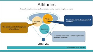 Attitudes And Job satisfaction  organizational behavior Chapter3 [upl. by Niveek]