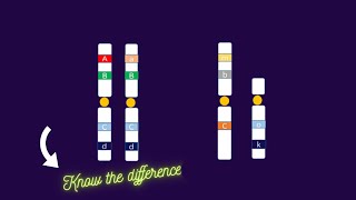 Heterozygous vs Hemizygous genotype alleles homozygous [upl. by Nertie]