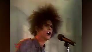 LA NEGRA TOMASA  CAIFANES  1988 RM [upl. by Nnylyam]