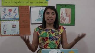 La importancia del agua y sus beneficios – Tercer Grado – Ciencias Naturales [upl. by Lletniuq]