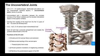 Uncovertebral Joints  Function and Dysfunction [upl. by Ecart]