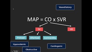 7 minutes IVC ultrasound part 1 [upl. by Ludwog]