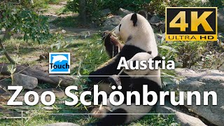 Zoo Schönbrunn Vienna Austria ► Travel Video 4K ► Travel in Austria TouchOfWorld [upl. by Cicero]