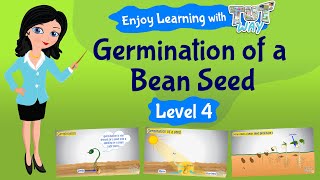 Seed Germination For Kids  Science  Grade 3 amp 4  TutWay [upl. by Serra]