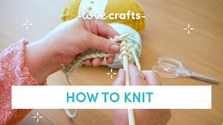 How to Knit  for absolute BEGINNERS [upl. by Nnylatsyrk]