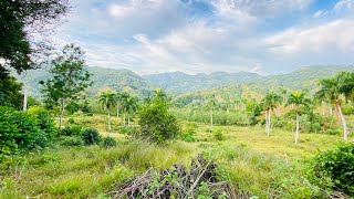 LA FINCA MAS BARATA DEL CAMPO CUPEYNARANJALPUERTO PLATA REPUBLICA DOMINICANA [upl. by Schroer]