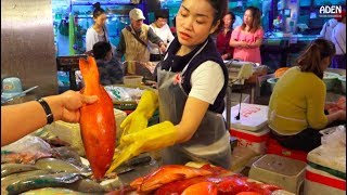 Sanya Fish Market  China  Hainan Island [upl. by Eidod309]